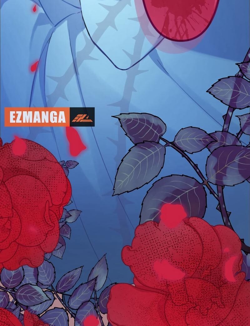 67008453 800 1043 160473